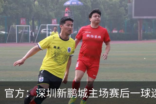 官方：深圳新鹏城主场赛后一球迷从看台跳入场内，深圳赛区被警告