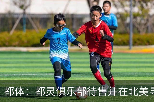 都体：都灵俱乐部待售并在北美寻找买家，老板卡伊罗估价2.5亿欧